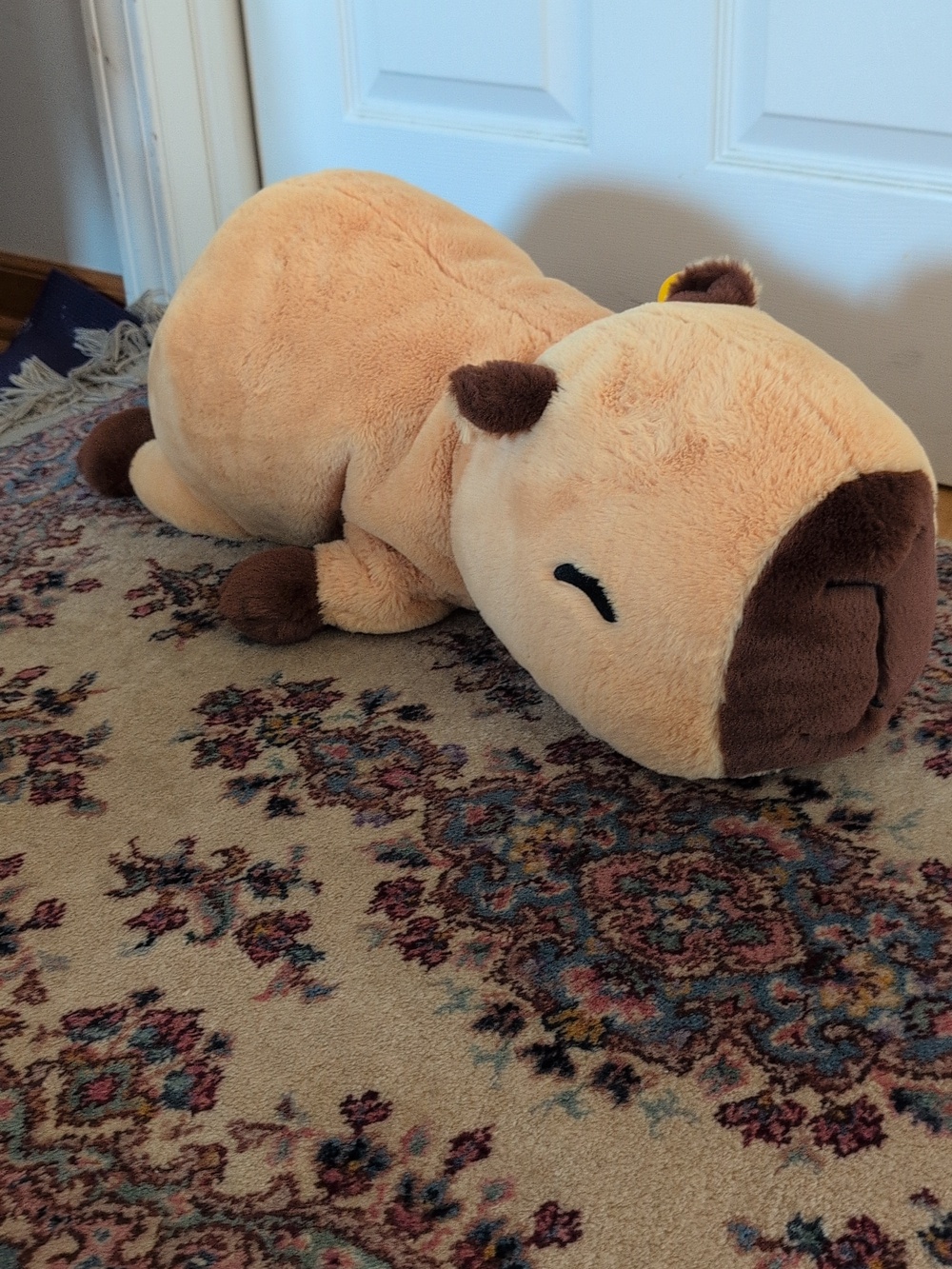NWT Soft Capybara Weighted Plushy - Picture 2 of 12